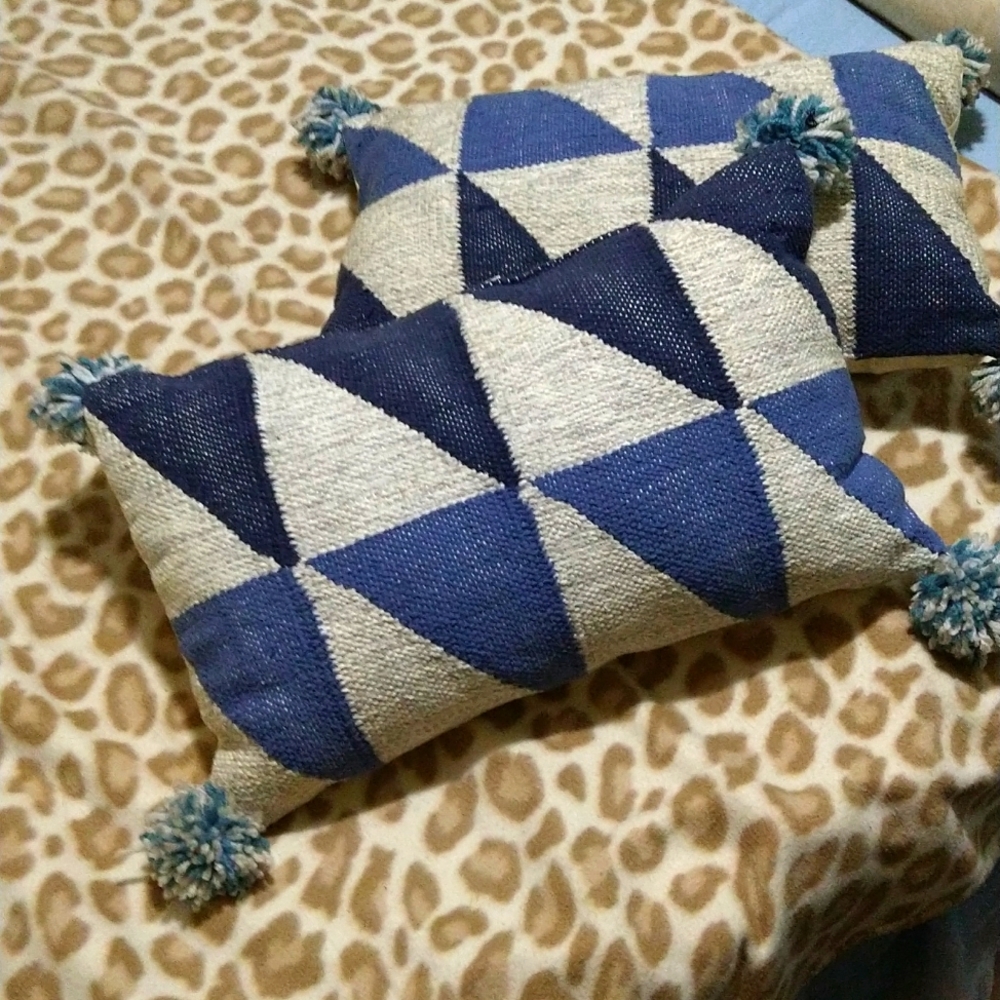 Couch or bed pillows